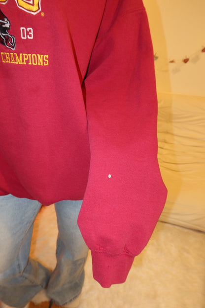 超好看😭USC美式復古冠軍🏆紀念款2003刺繡大學踢🏈