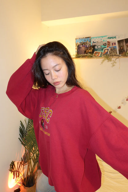 超好看😭USC美式復古冠軍🏆紀念款2003刺繡大學踢🏈