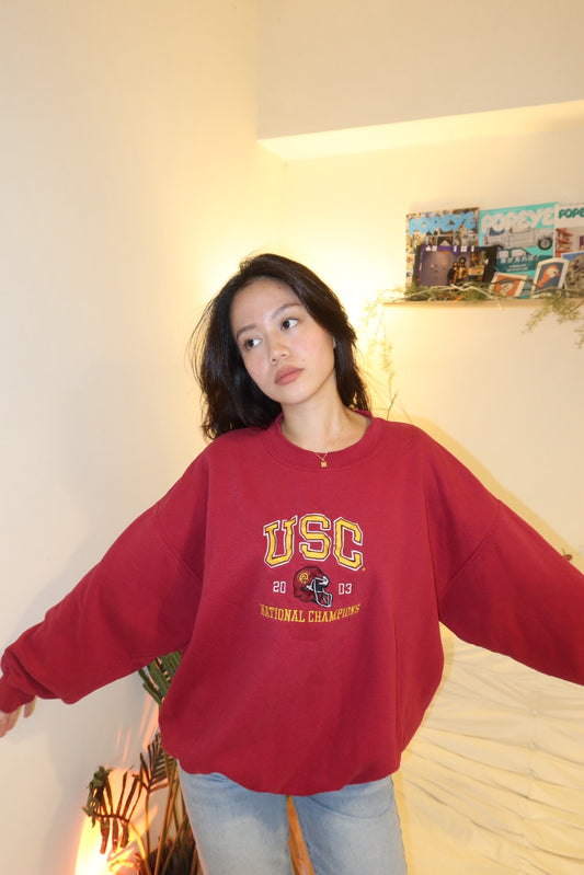 超好看😭USC美式復古冠軍🏆紀念款2003刺繡大學踢🏈